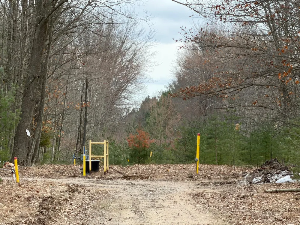 Pihl Road Kaleva, MI 49645