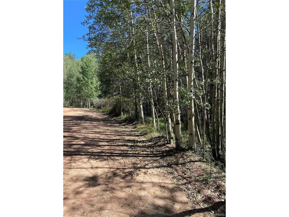 452 Wilson Drive Florissant, CO 80816