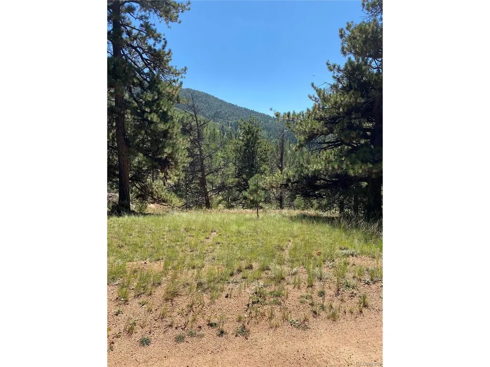 452 Wilson Drive Florissant, CO 80816