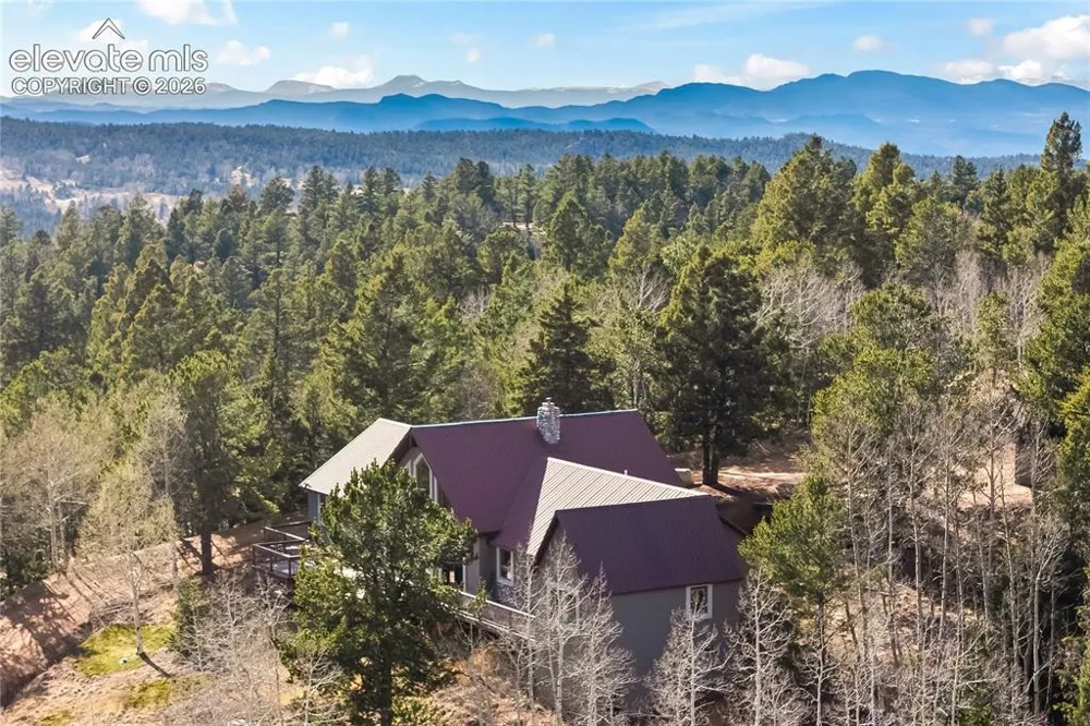 1008 Cantiberry Road Divide, CO 80814
