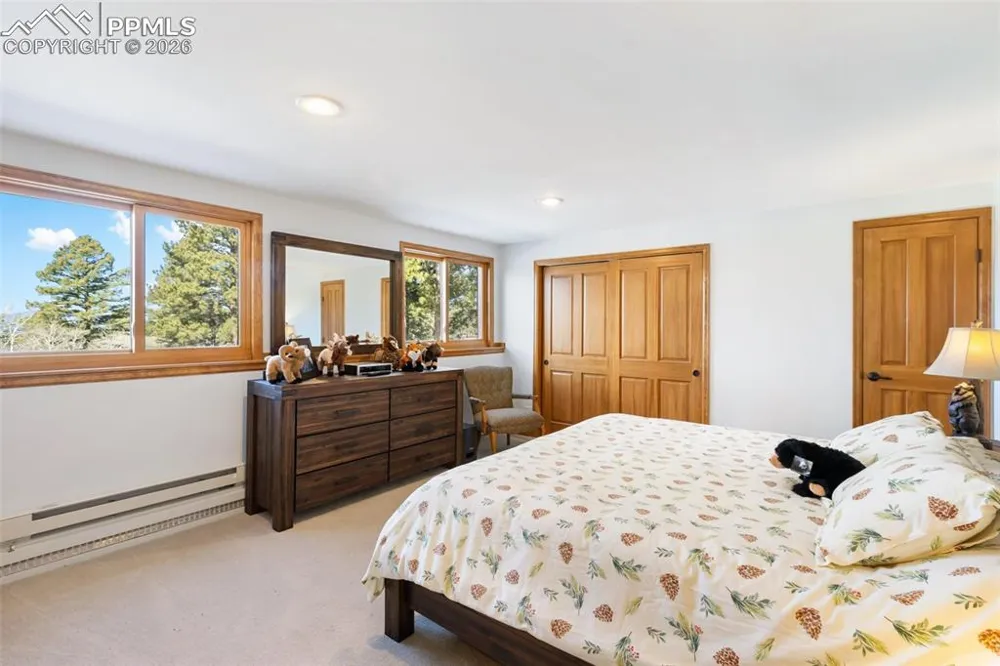 4265 County Road 51 Road Divide, CO 80814