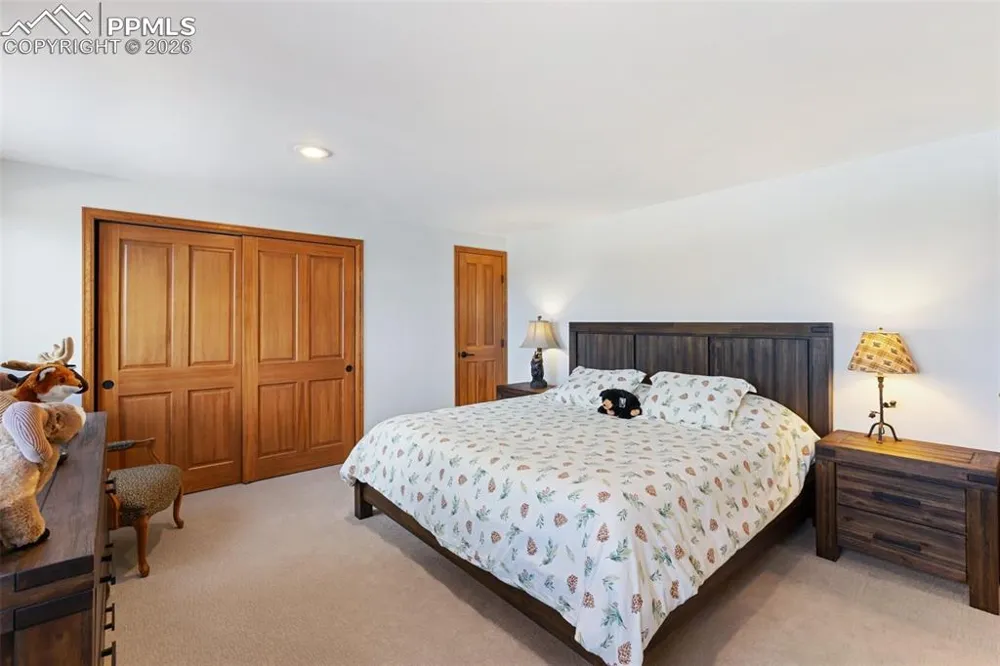 4265 County Road 51 Road Divide, CO 80814
