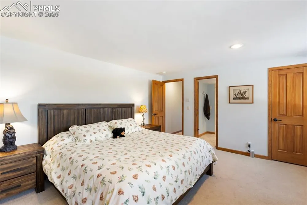 4265 County Road 51 Road Divide, CO 80814