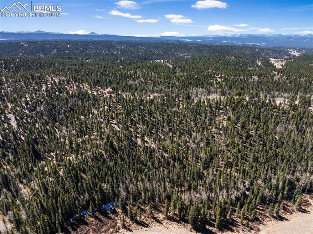 4265 County Road 51 Road Divide, CO 80814