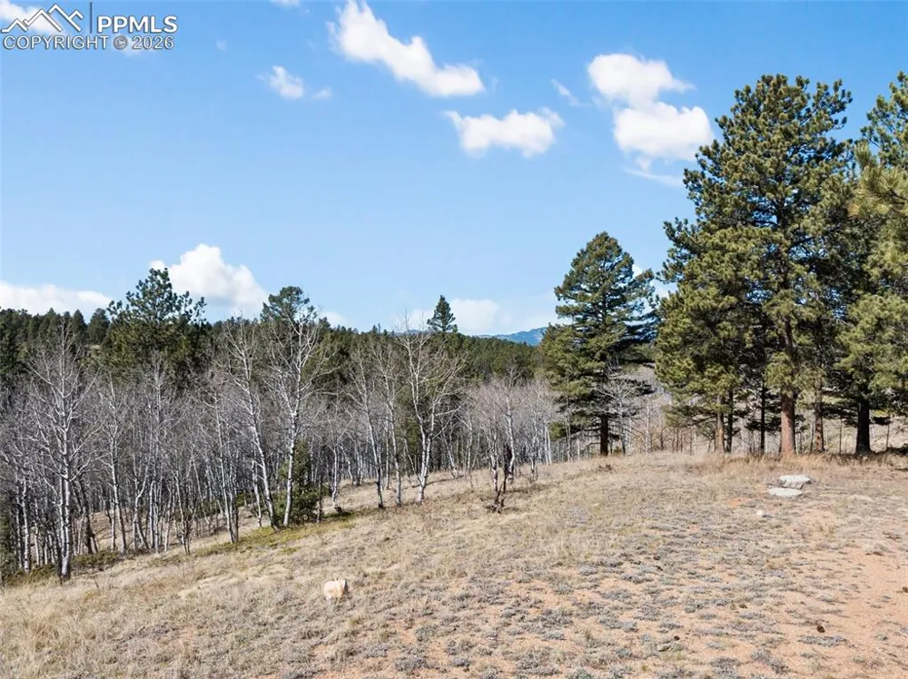 4265 County Road 51 Road Divide, CO 80814