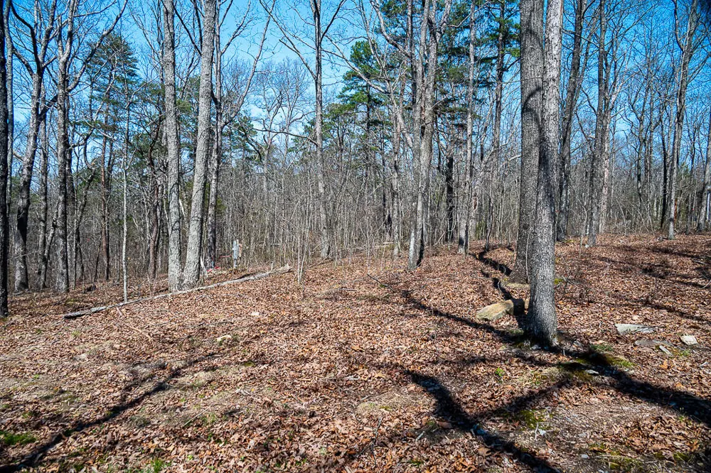 9045 Highway 157 Rising Fawn, GA 30738