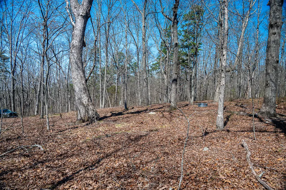 9045 Highway 157 Rising Fawn, GA 30738