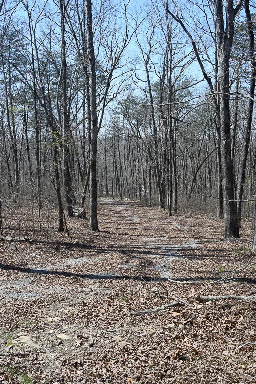 9045 Highway 157 Rising Fawn, GA 30738