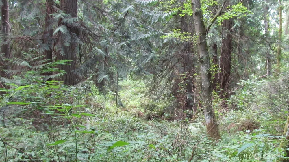 0 Midvale Road Clinton, WA 98236