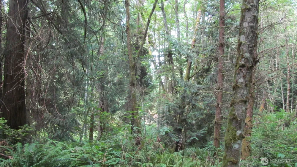 0 Midvale Road Clinton, WA 98236