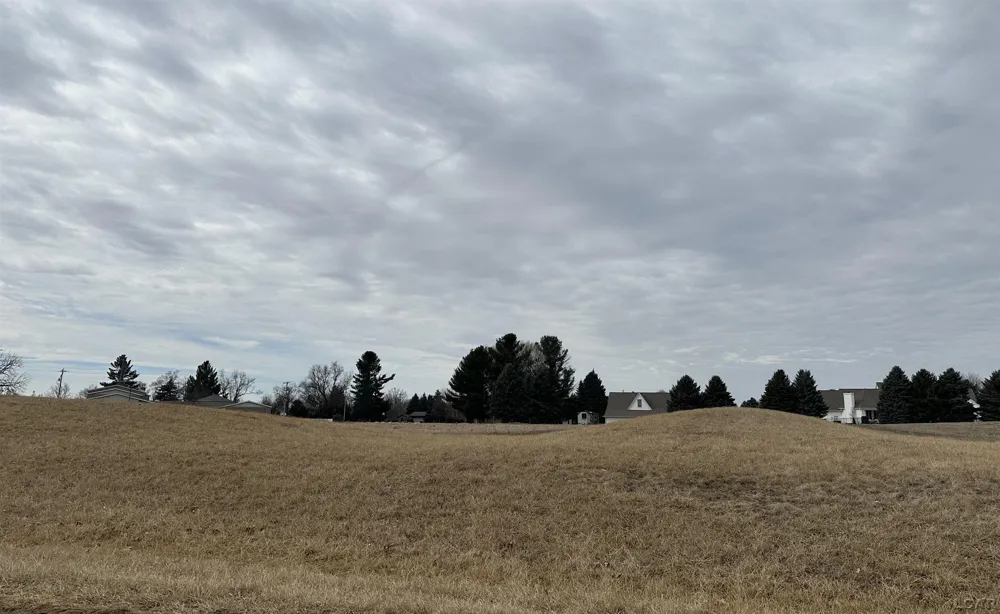 Fieldstone Drive Tecumseh Township, MI 49286