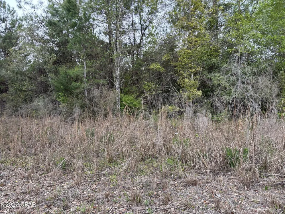 NW Cook Road Clarksville, FL 32430