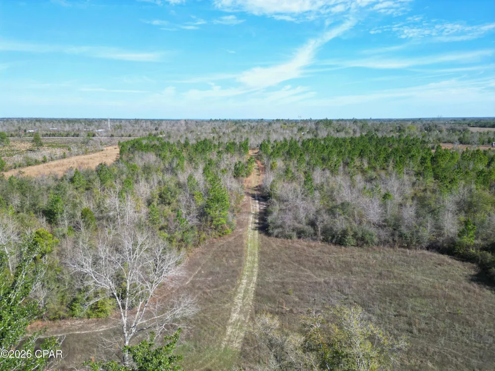 Cook/Cain Road Clarksville, FL 32430