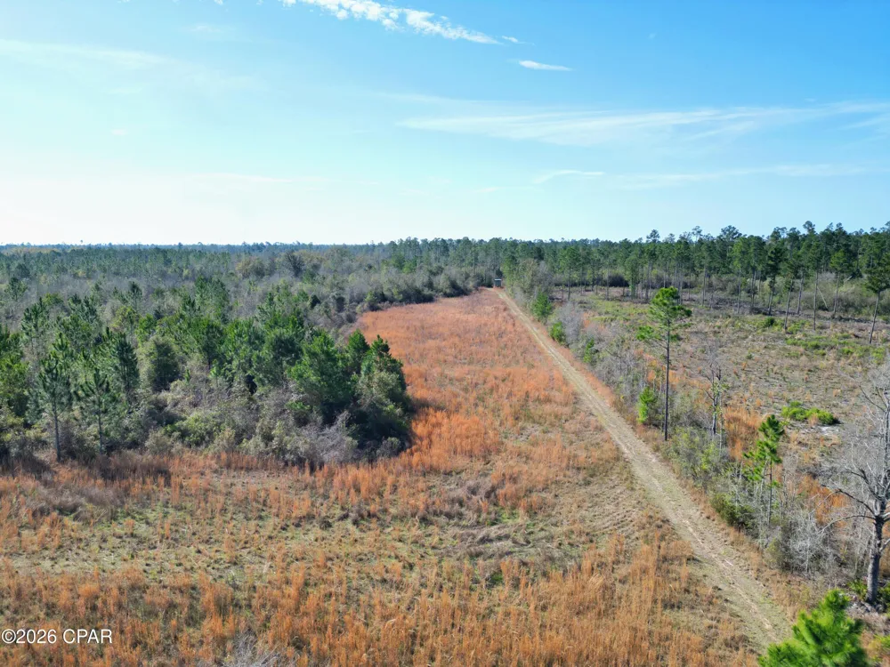 Cook/Cain Road Clarksville, FL 32430