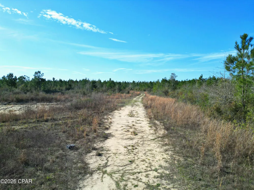 Cook/Cain Road Clarksville, FL 32430
