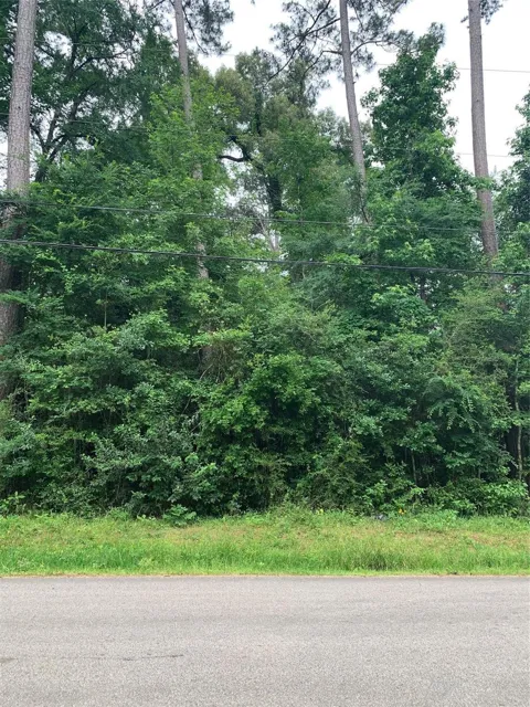 Birch Drive
