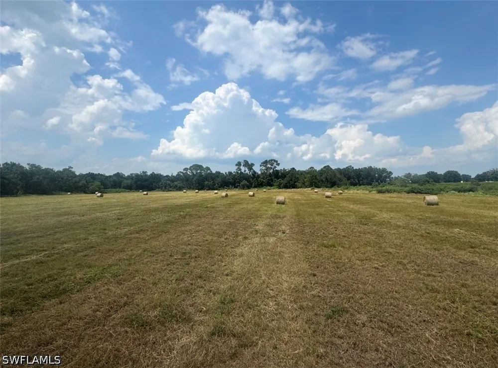 Address Not Shown Wauchula, FL 33873