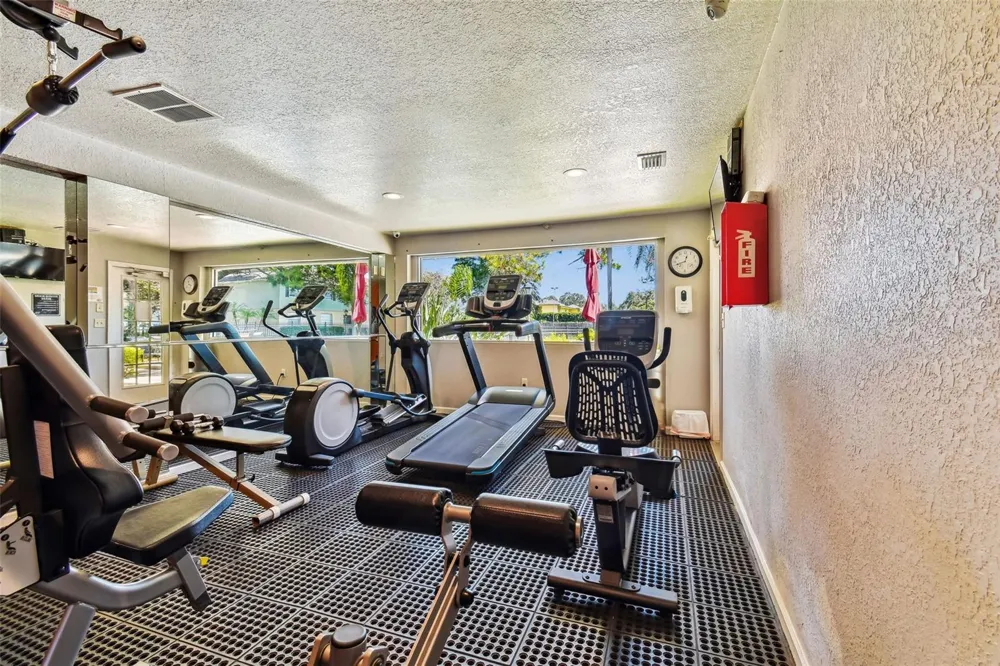229 RED MAPLE PLACE Brandon, FL 33510