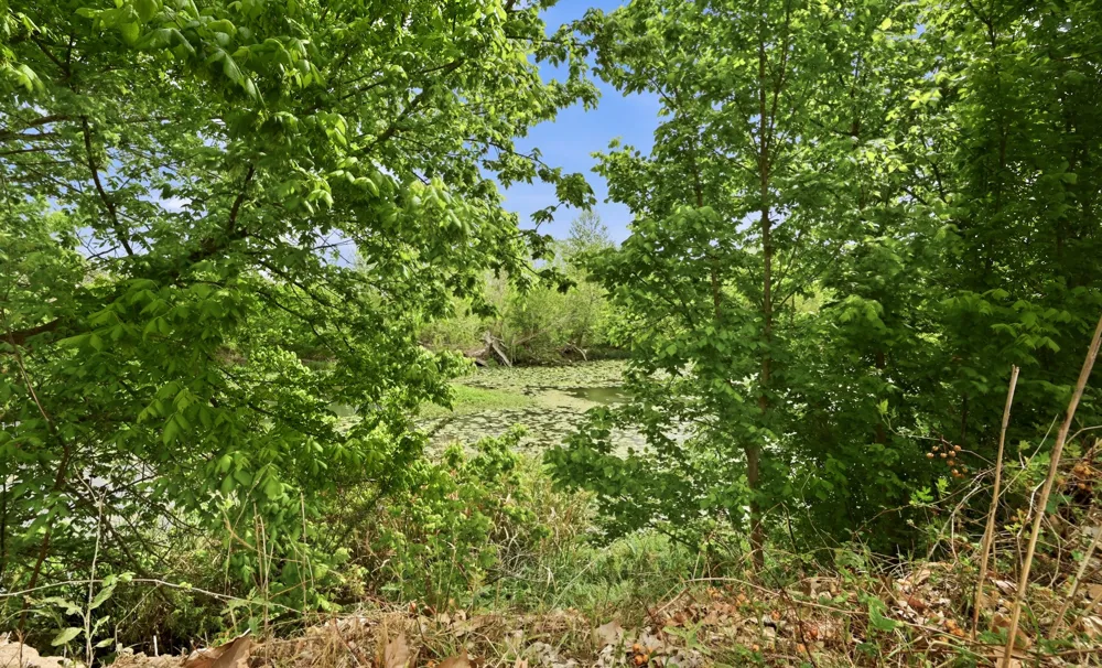 3500 Scull Road Martindale, TX 78655