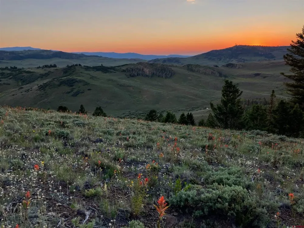 721 Crest Drive Cimarron, CO 81220