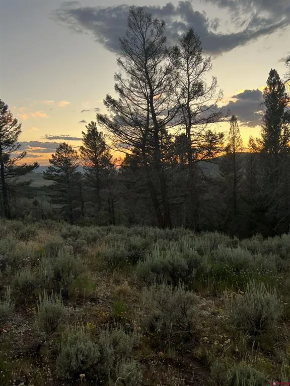 721 Crest Drive Cimarron, CO 81220