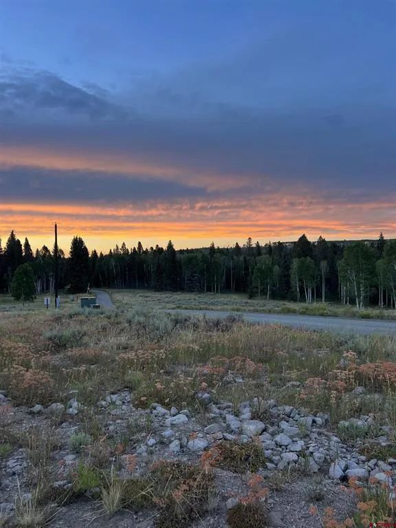 721 Crest Drive Cimarron, CO 81220