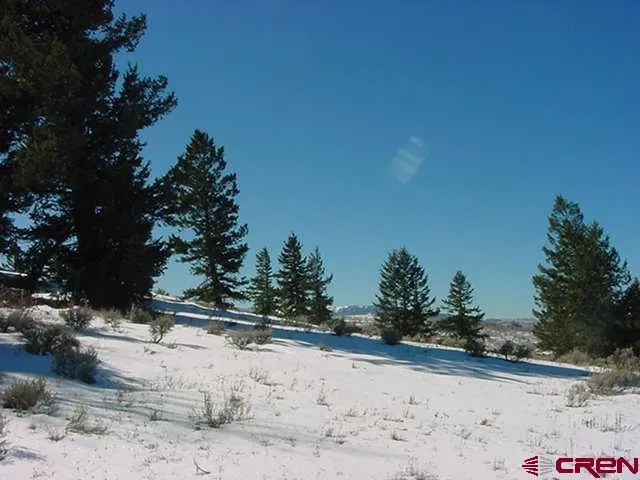721 Crest Drive Cimarron, CO 81220