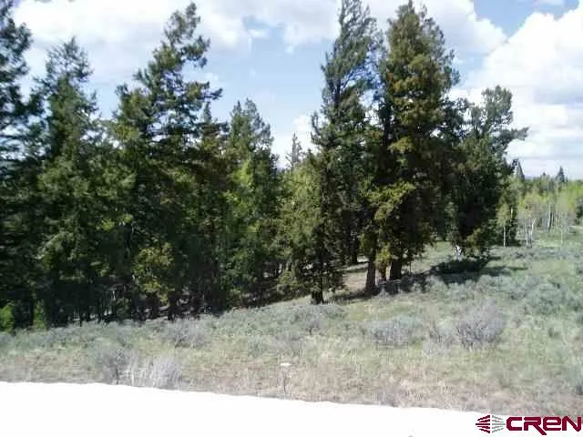 721 Crest Drive Cimarron, CO 81220