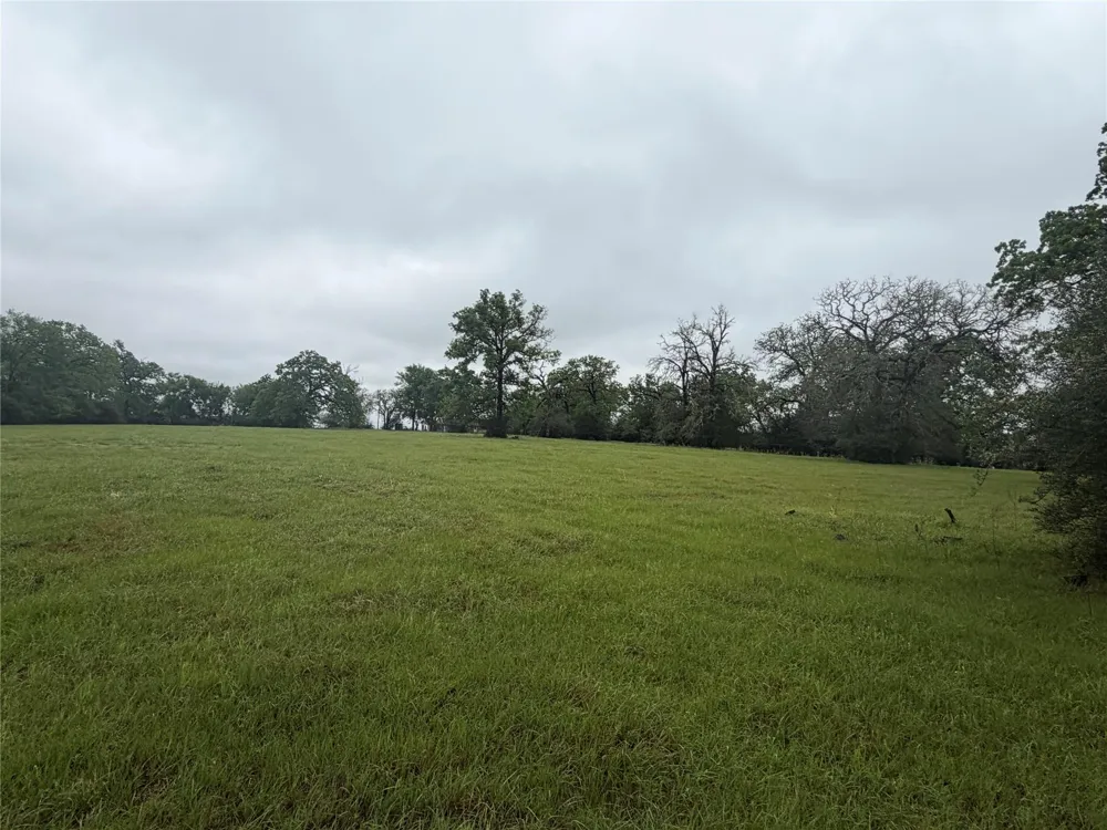 18043 Sterling Robertson Dam Road Thornton, TX 76687