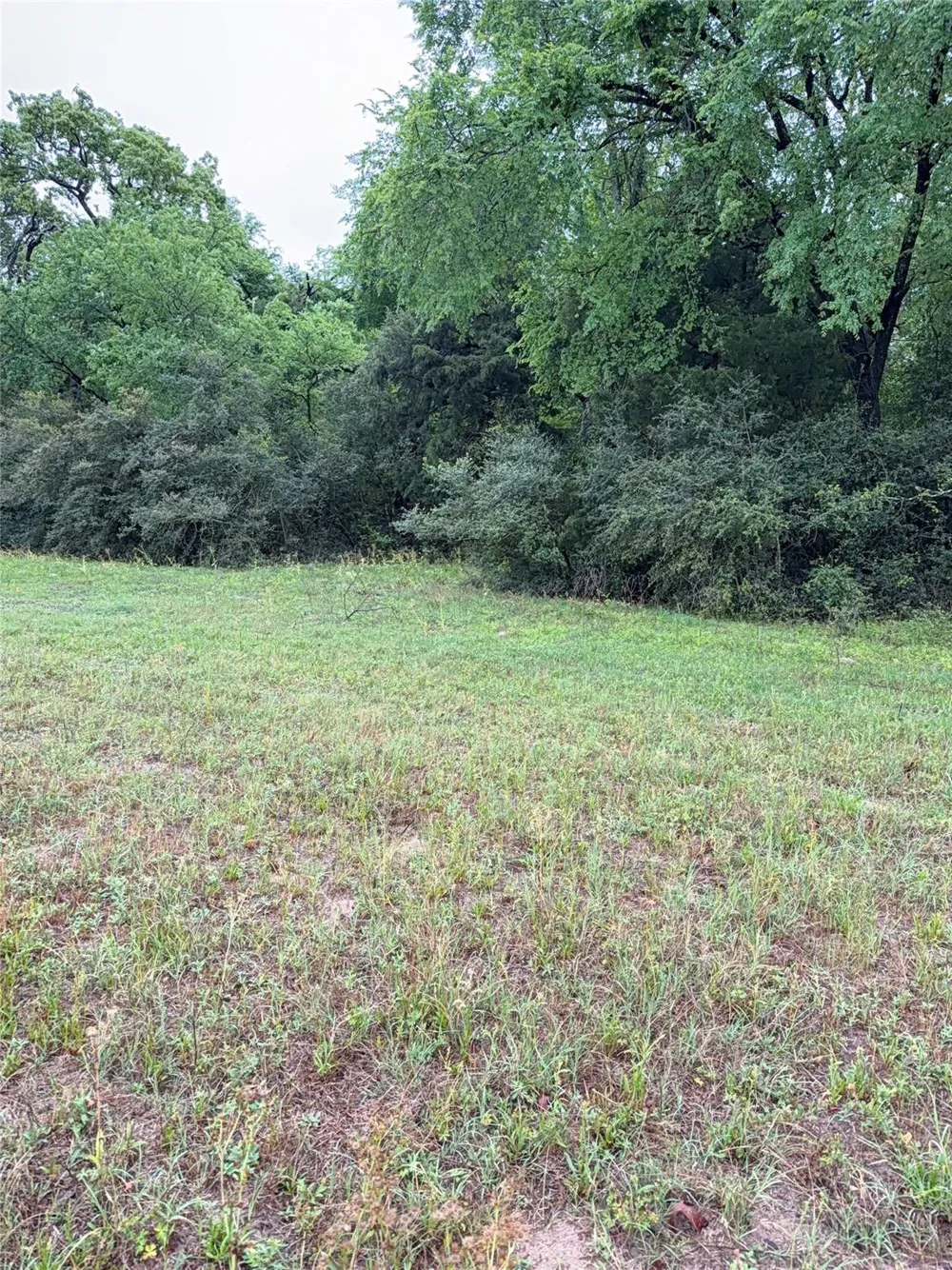 18043 Sterling Robertson Dam Road Thornton, TX 76687