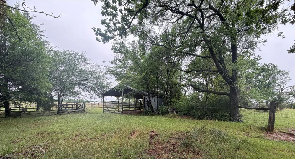 18043 Sterling Robertson Dam Road Thornton, TX 76687