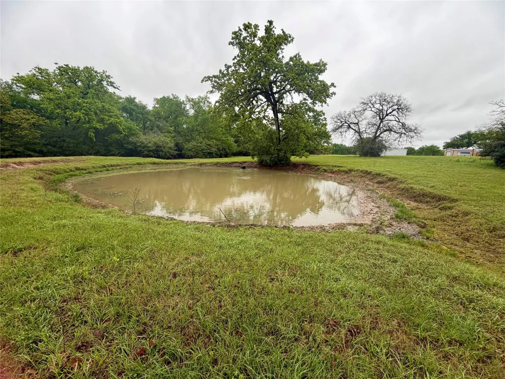 18043 Sterling Robertson Dam Road Thornton, TX 76687