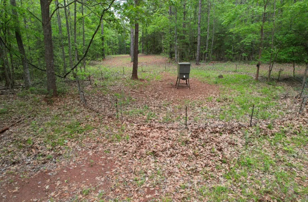 County Road 120C San Augustine, TX 75972