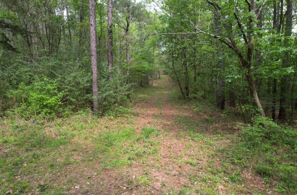 County Road 120C San Augustine, TX 75972