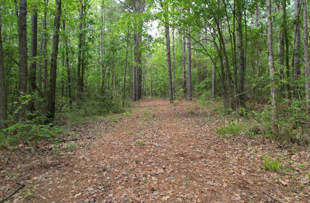 County Road 120C San Augustine, TX 75972