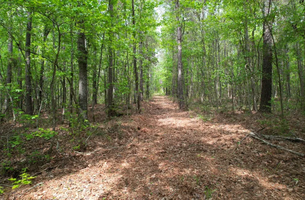 County Road 120C San Augustine, TX 75972