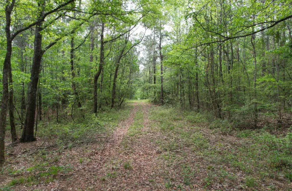 County Road 120C San Augustine, TX 75972