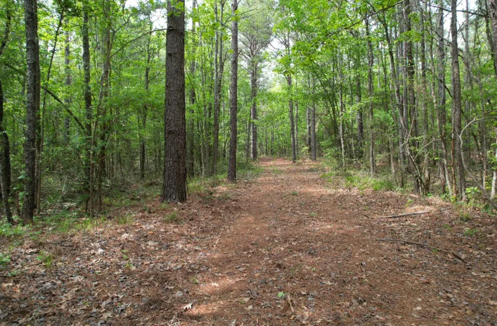 County Road 120C San Augustine, TX 75972