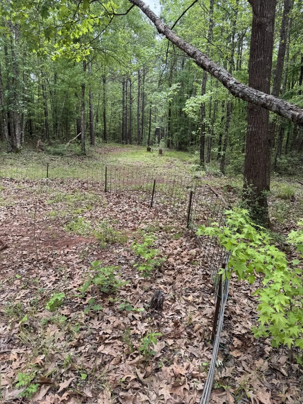 County Road 120C San Augustine, TX 75972