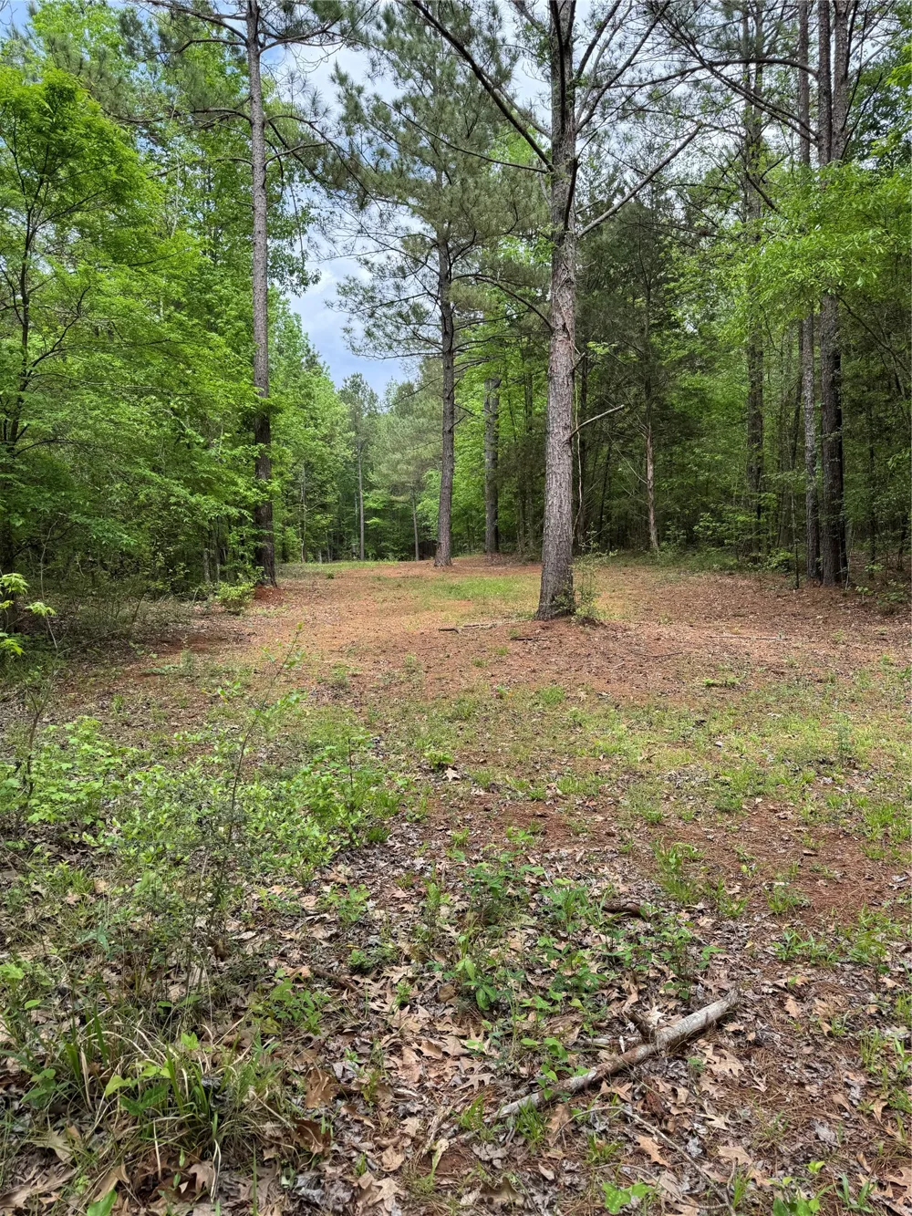 County Road 120C San Augustine, TX 75972