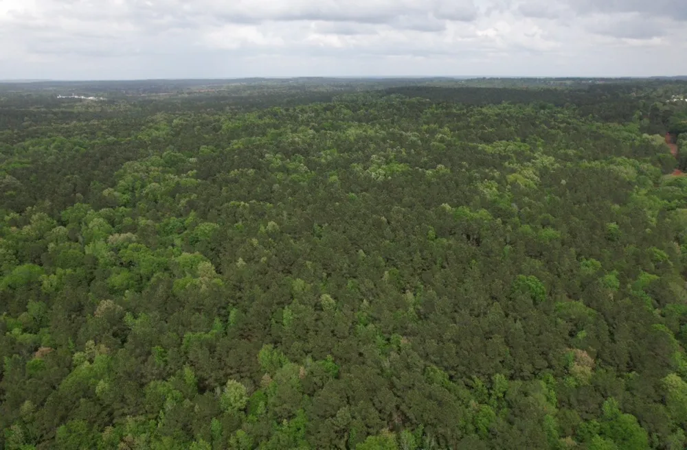 County Road 120C San Augustine, TX 75972