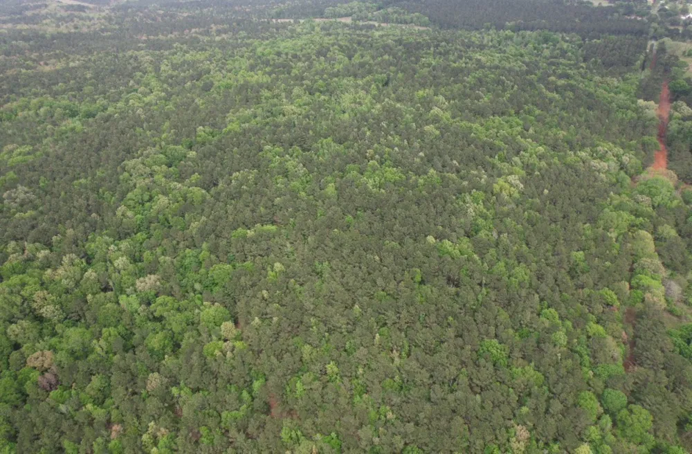 County Road 120C San Augustine, TX 75972