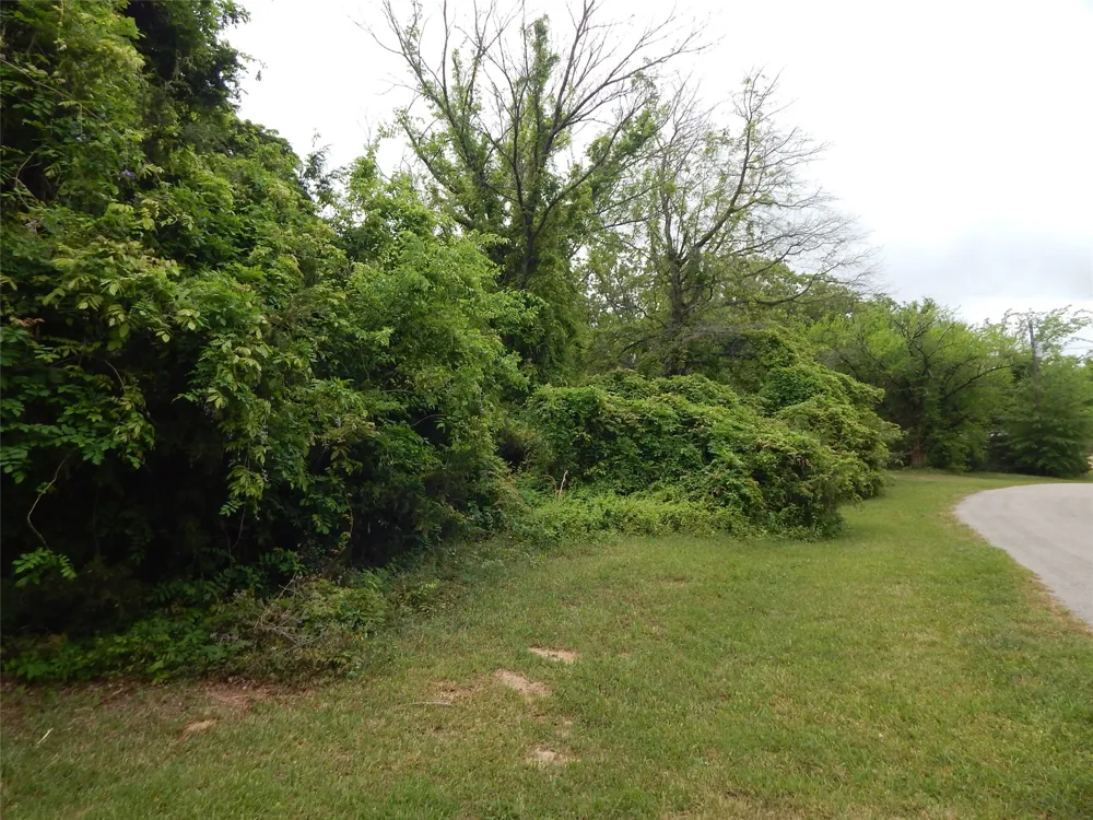 146 CR 1215 Quitman, TX 75783