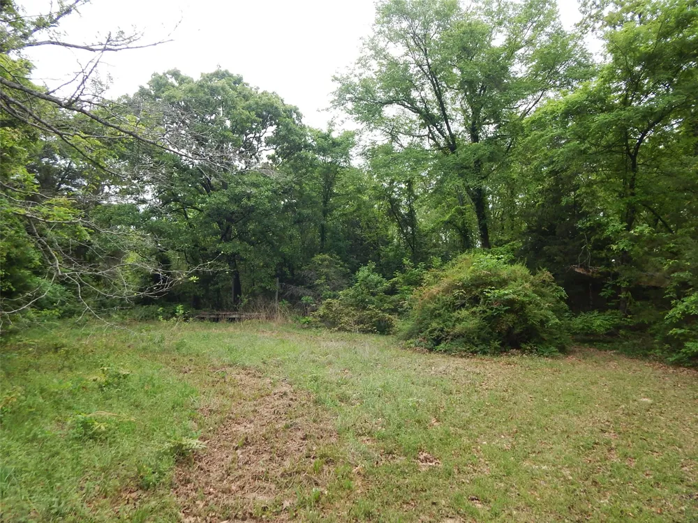 146 CR 1215 Quitman, TX 75783