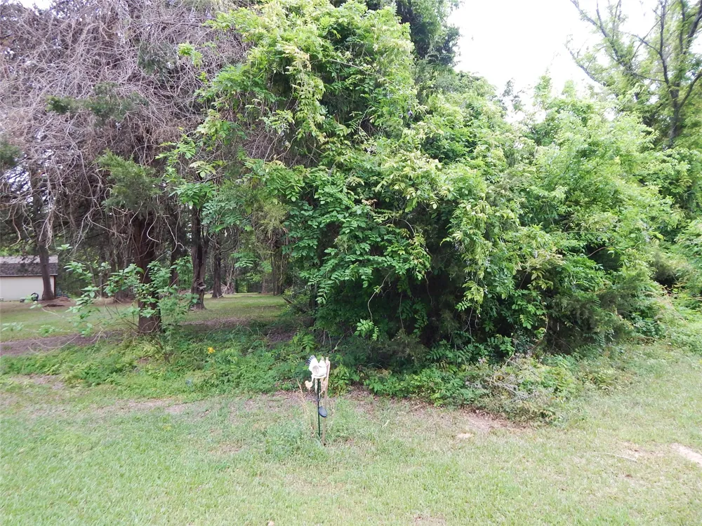 146 CR 1215 Quitman, TX 75783