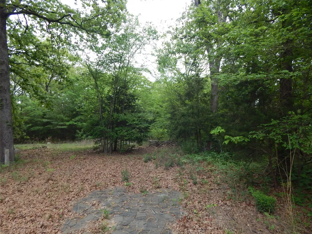 146 CR 1215 Quitman, TX 75783