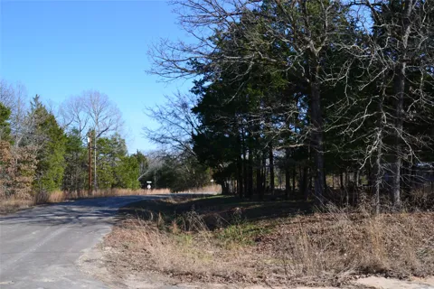 Sweetgum Drive