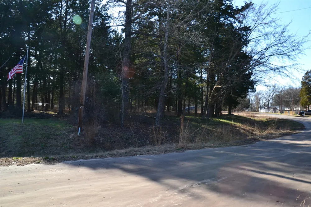 Sweetgum Drive Murchison, TX 75778