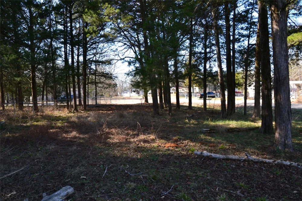 Sweetgum Drive Murchison, TX 75778