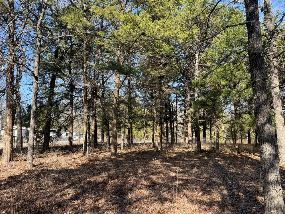 Sweetgum Drive Murchison, TX 75778